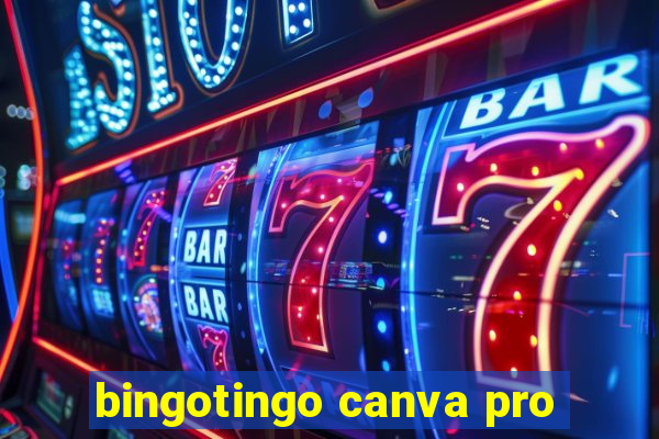 bingotingo canva pro